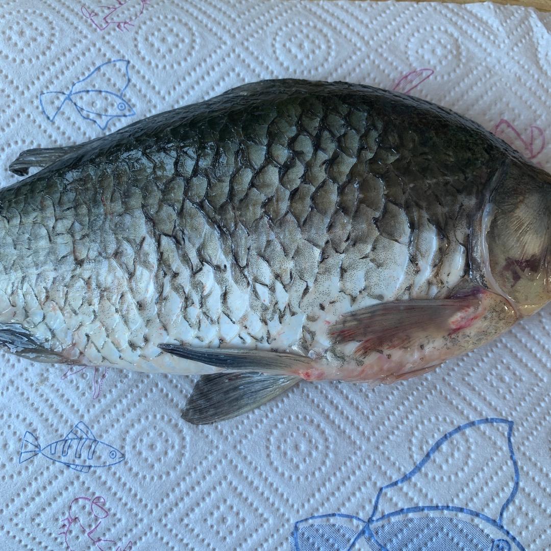 滋补鲫鱼汤(简单做法)的做法 步骤3