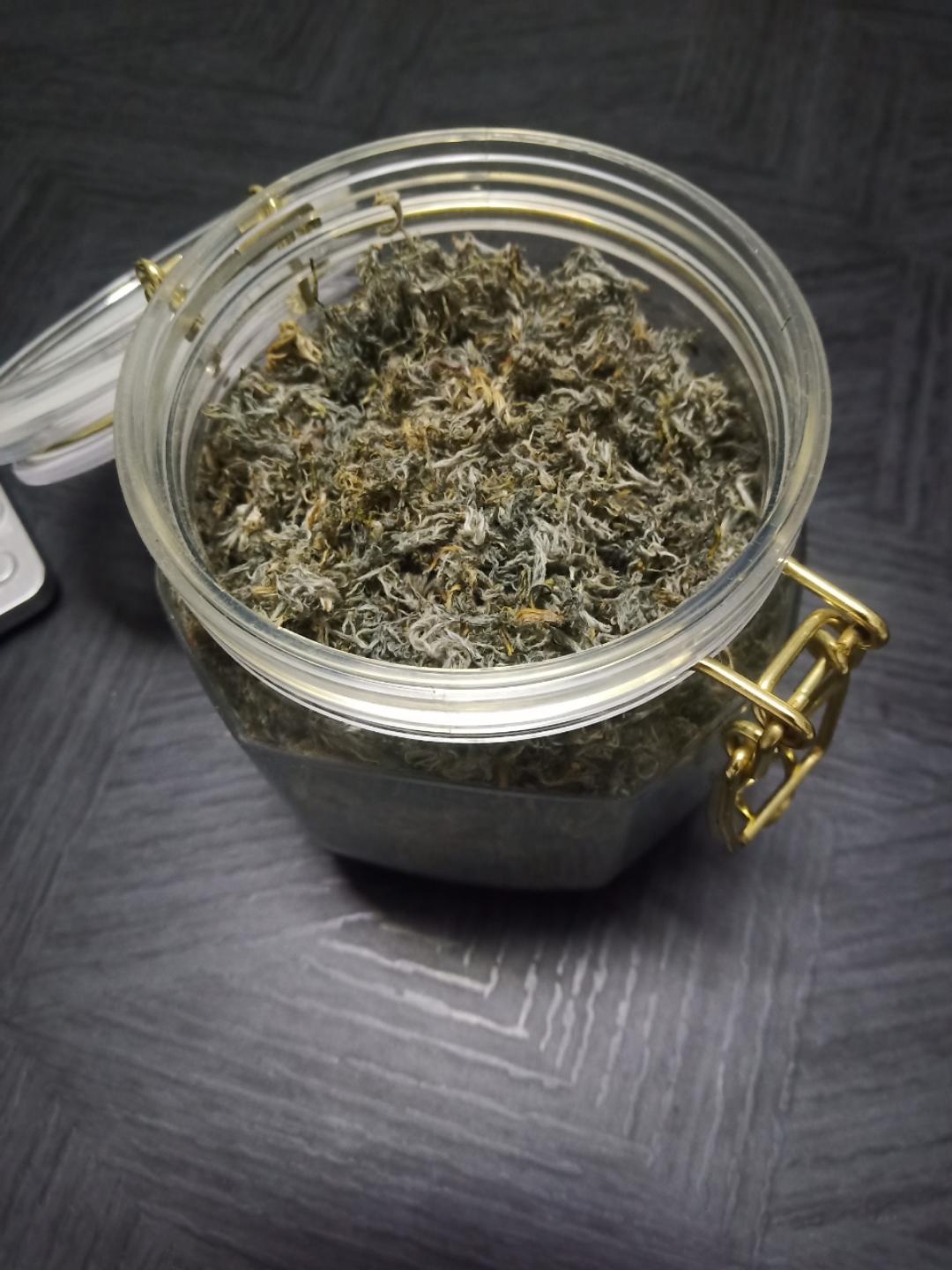 茵陈茶