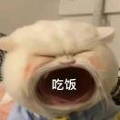 停留在这分秒间