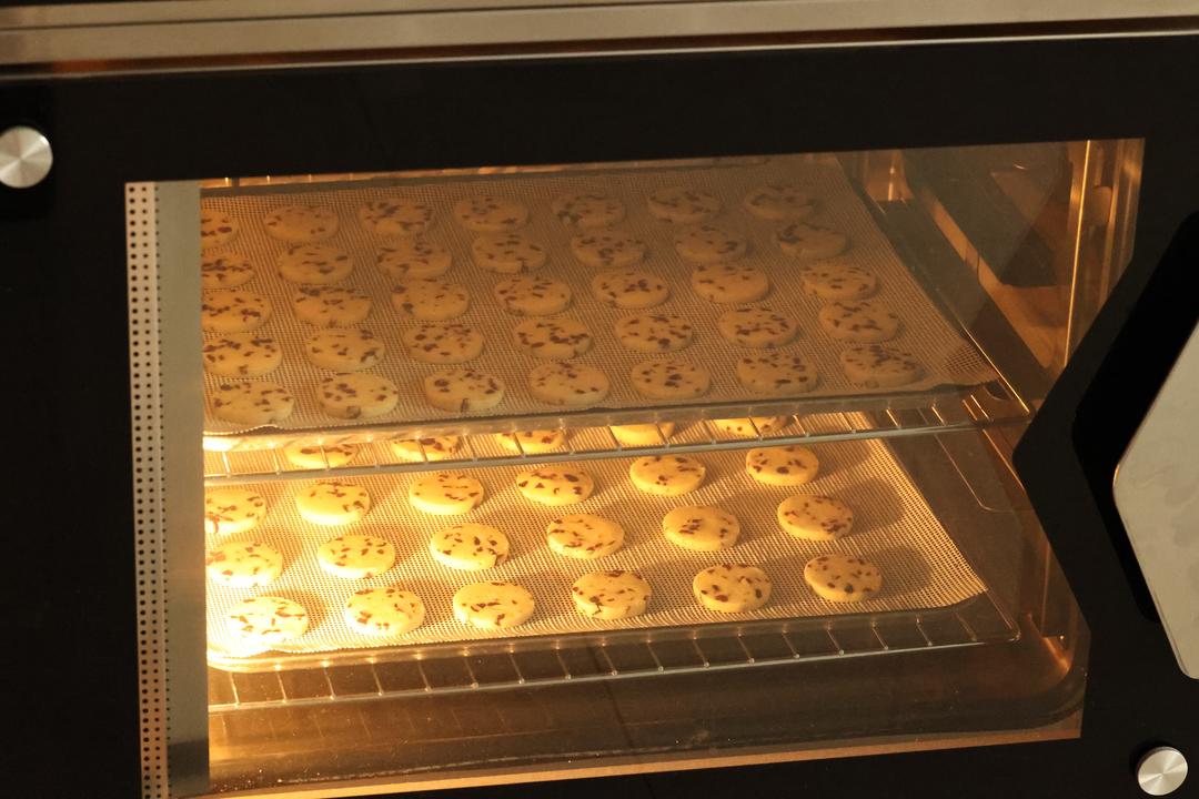 蔓越莓曲奇饼干/零失败/新手必做饼干的做法 步骤27