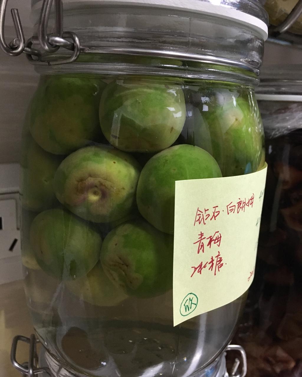 【青梅酒】梅子的沉醉时光（已填坑）