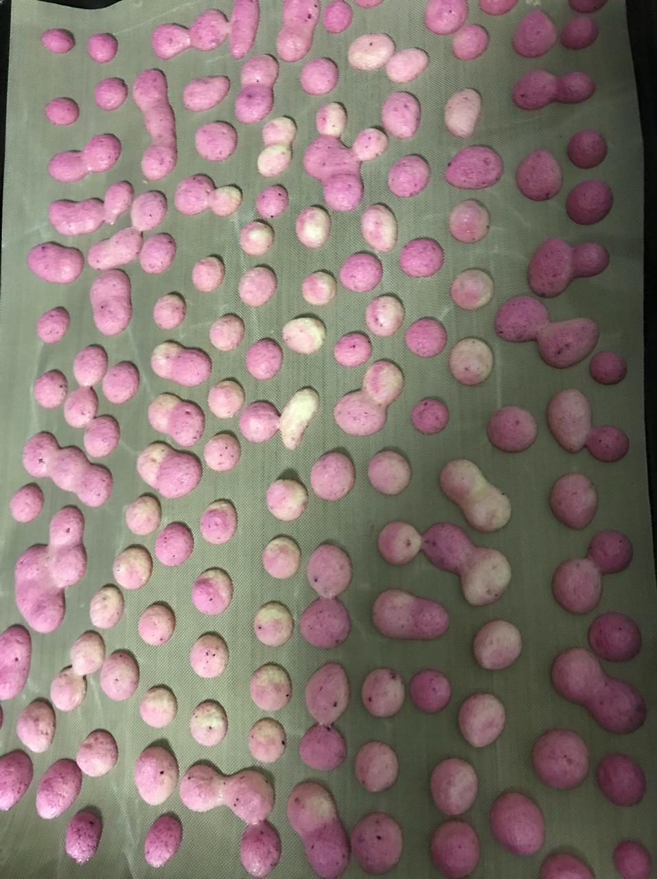 蛋白溶豆