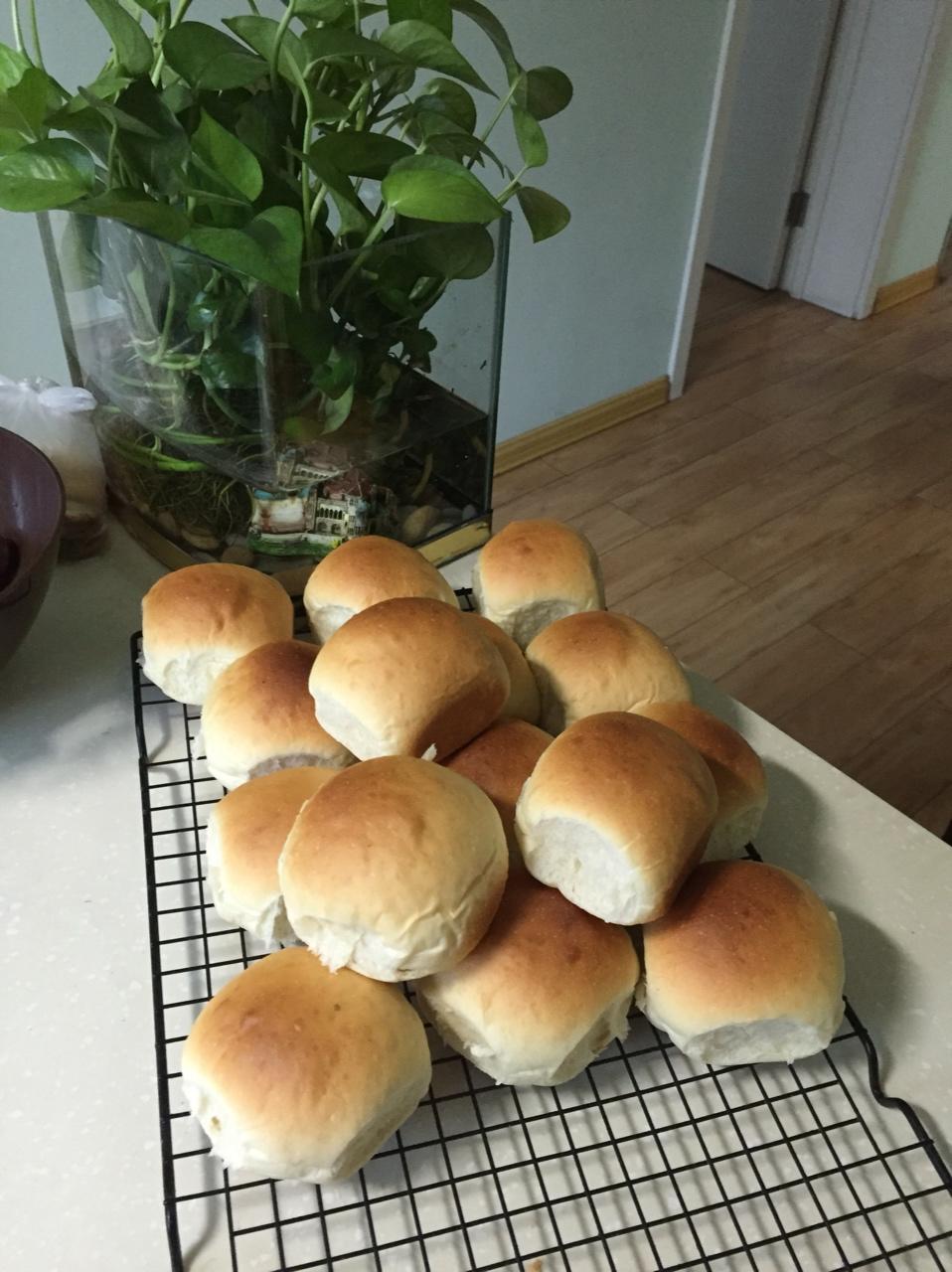 最好吃的酸奶小餐包