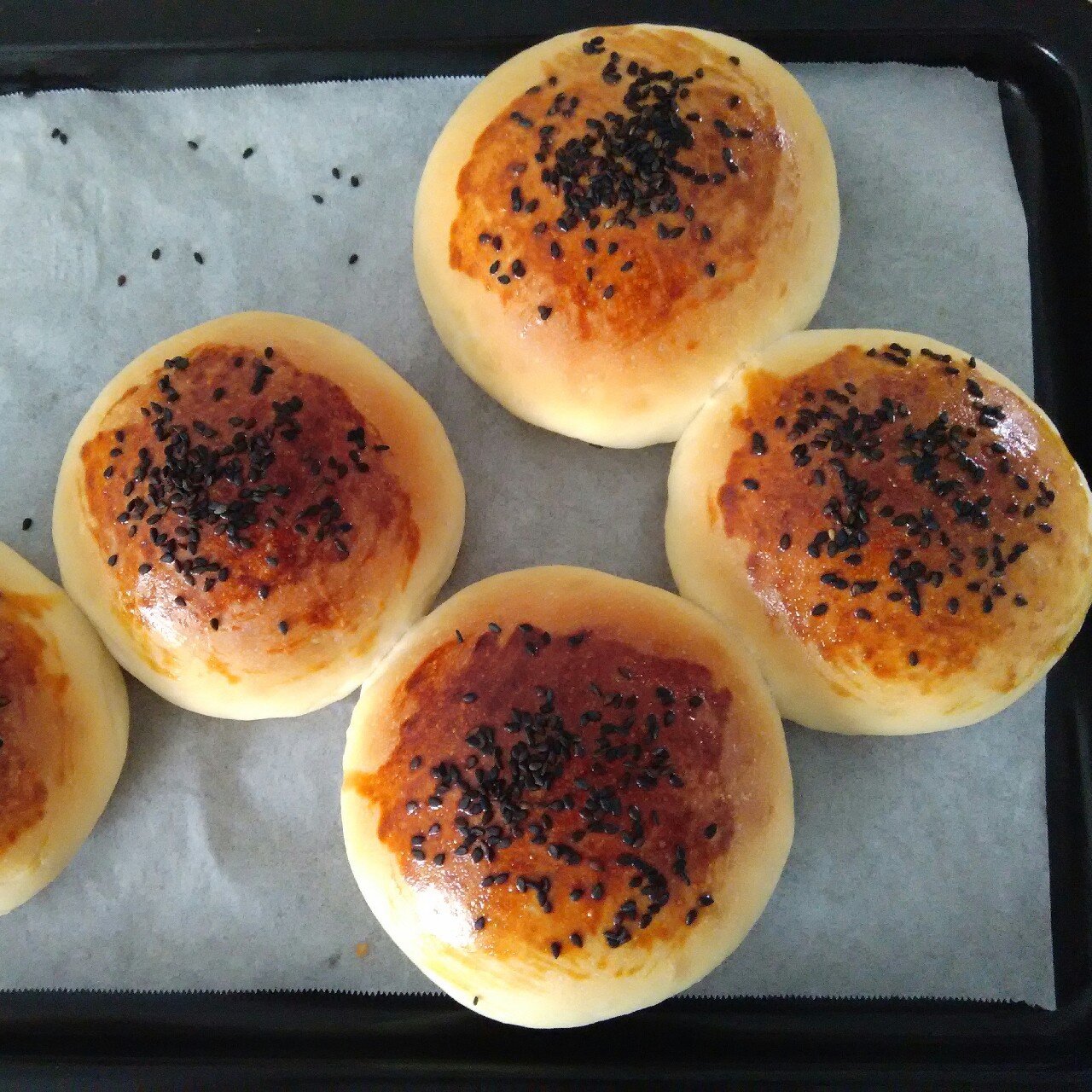 汉堡胚（中种法）