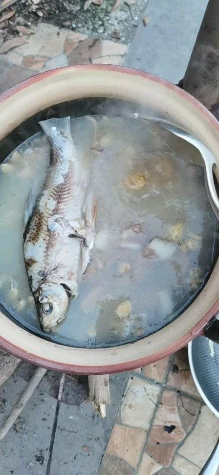 浓浓的粉葛鲮鱼排骨汤