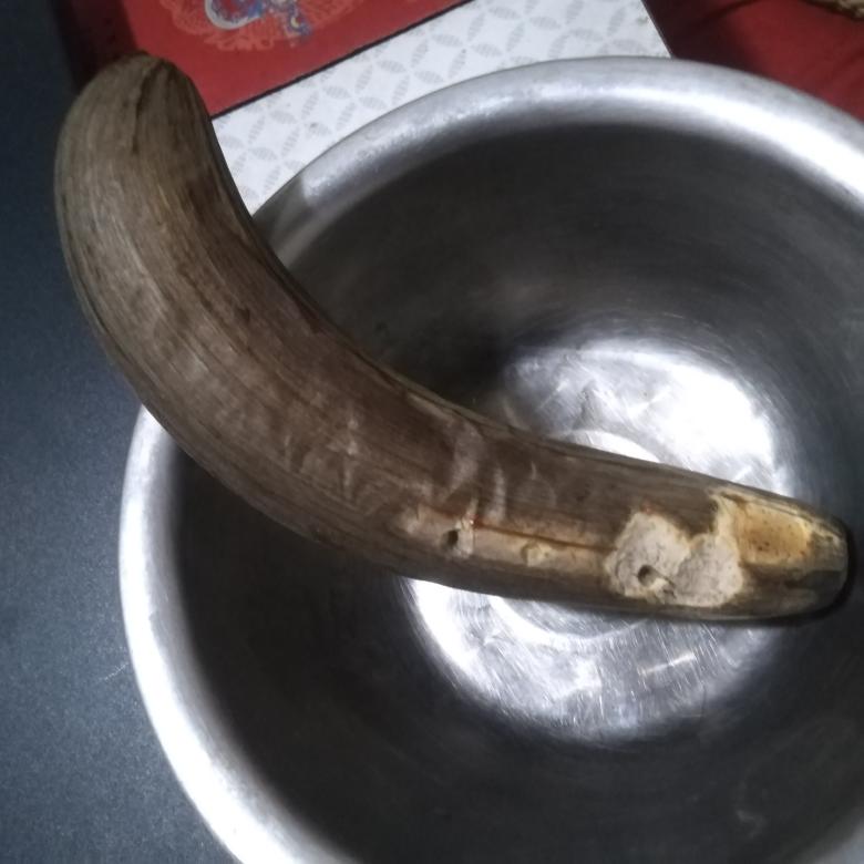 烤香蕉【无油无糖素食】（处理青香蕉的方法）