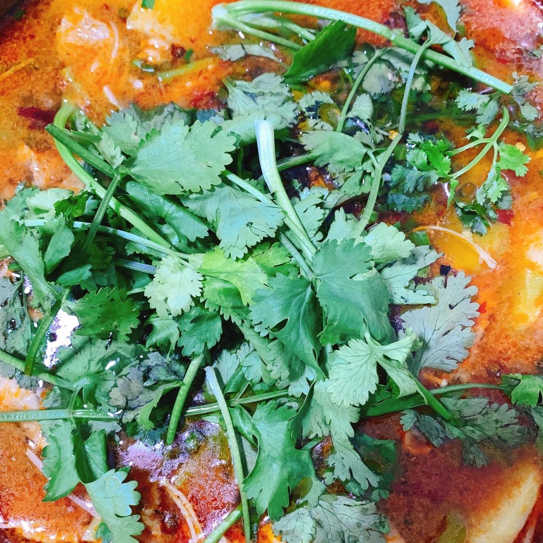 水煮肉片【向往的生活】简单零失败