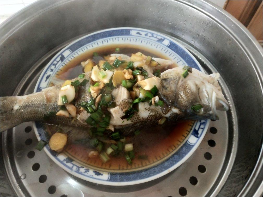 超入味清蒸鱼～清蒸鲈鱼桂花鱼（家常独创）