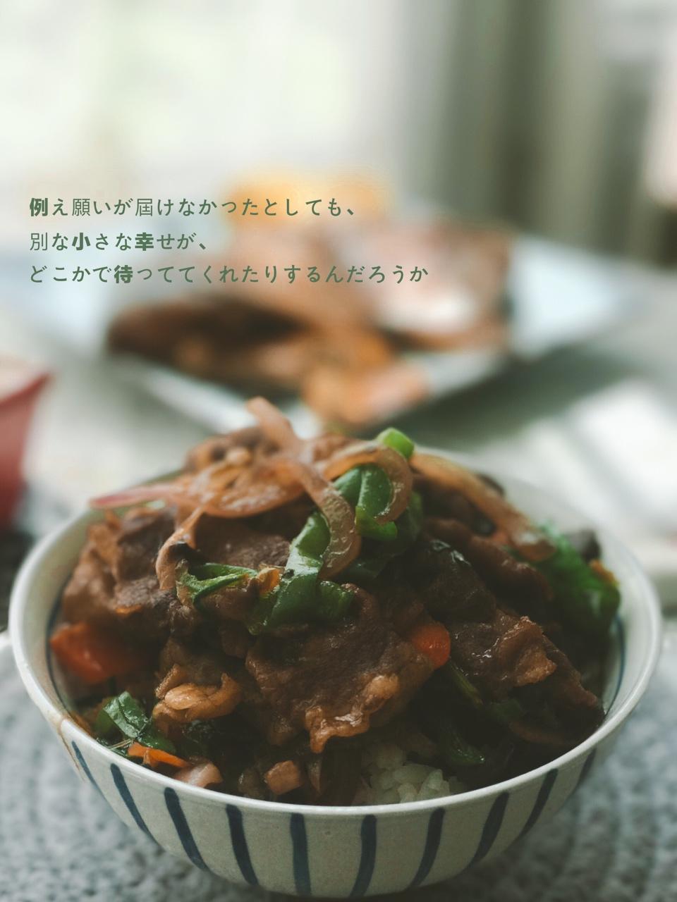 洋葱肥牛饭