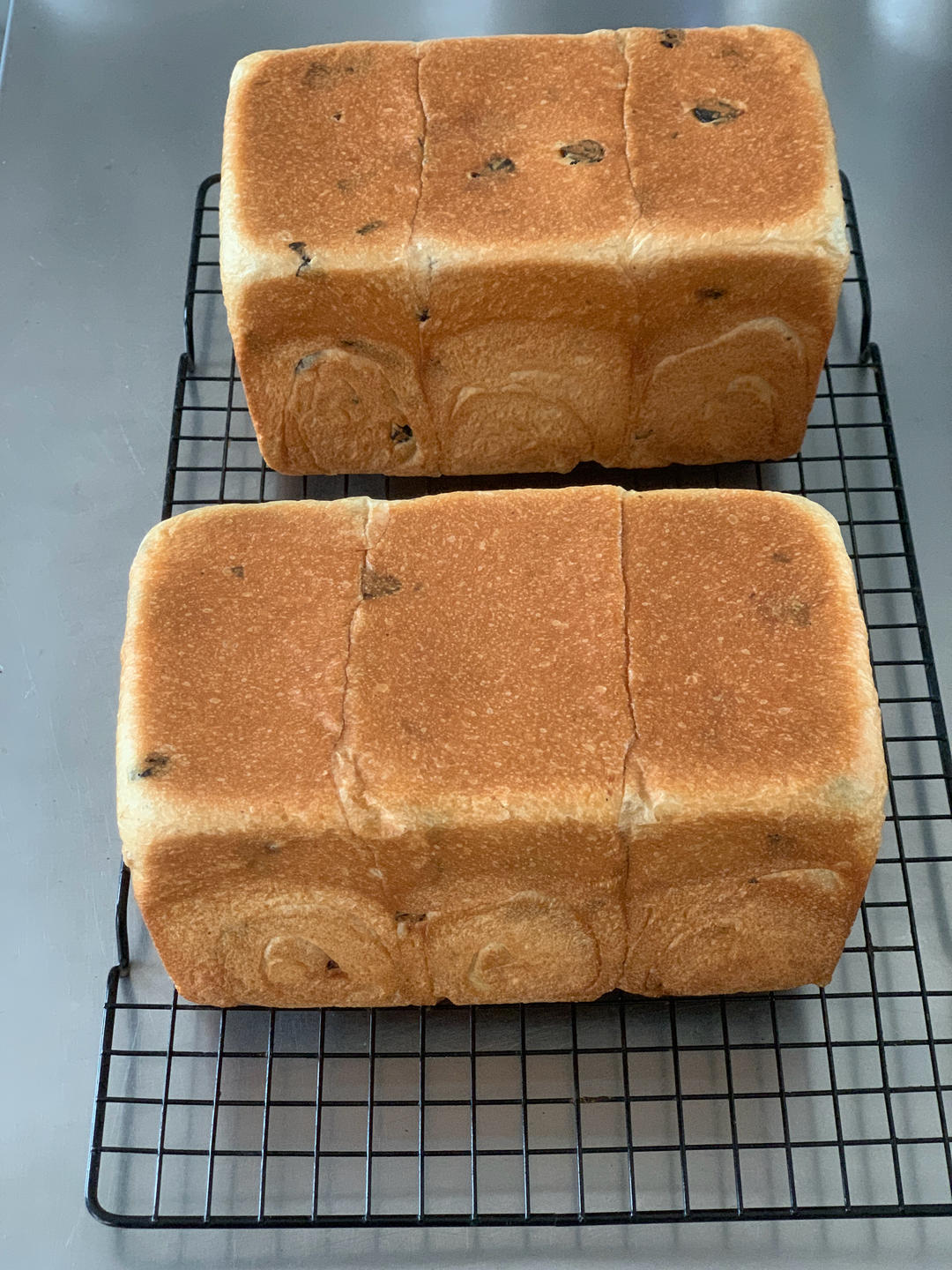 炼乳鲜奶提子吐司｜奶香加倍柔软加倍