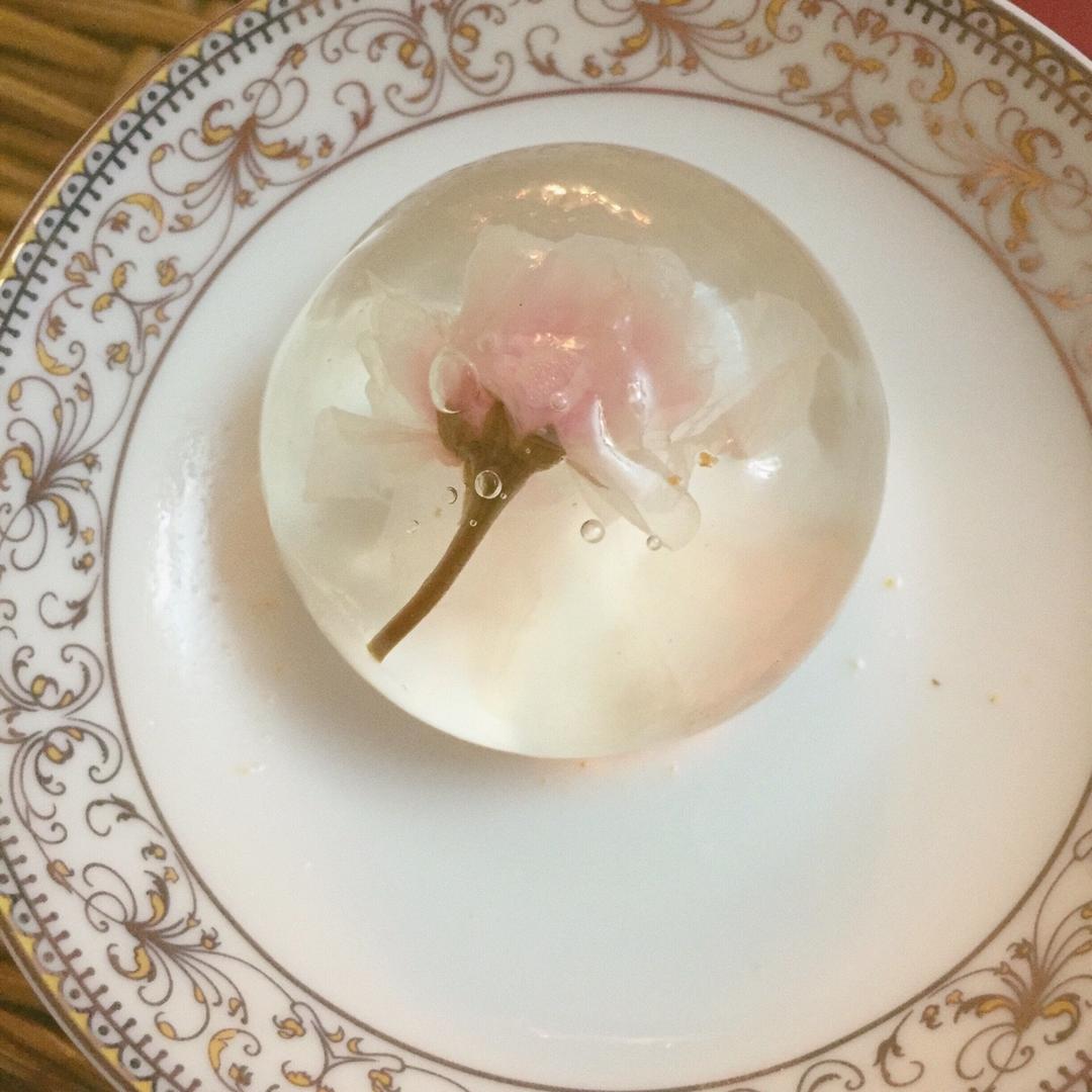 日本最温柔的梦幻和菓子 — 水信玄饼