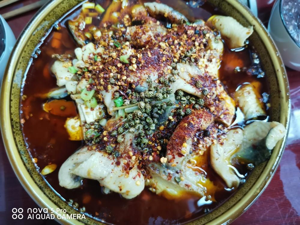 麻辣水煮鱼片的做法