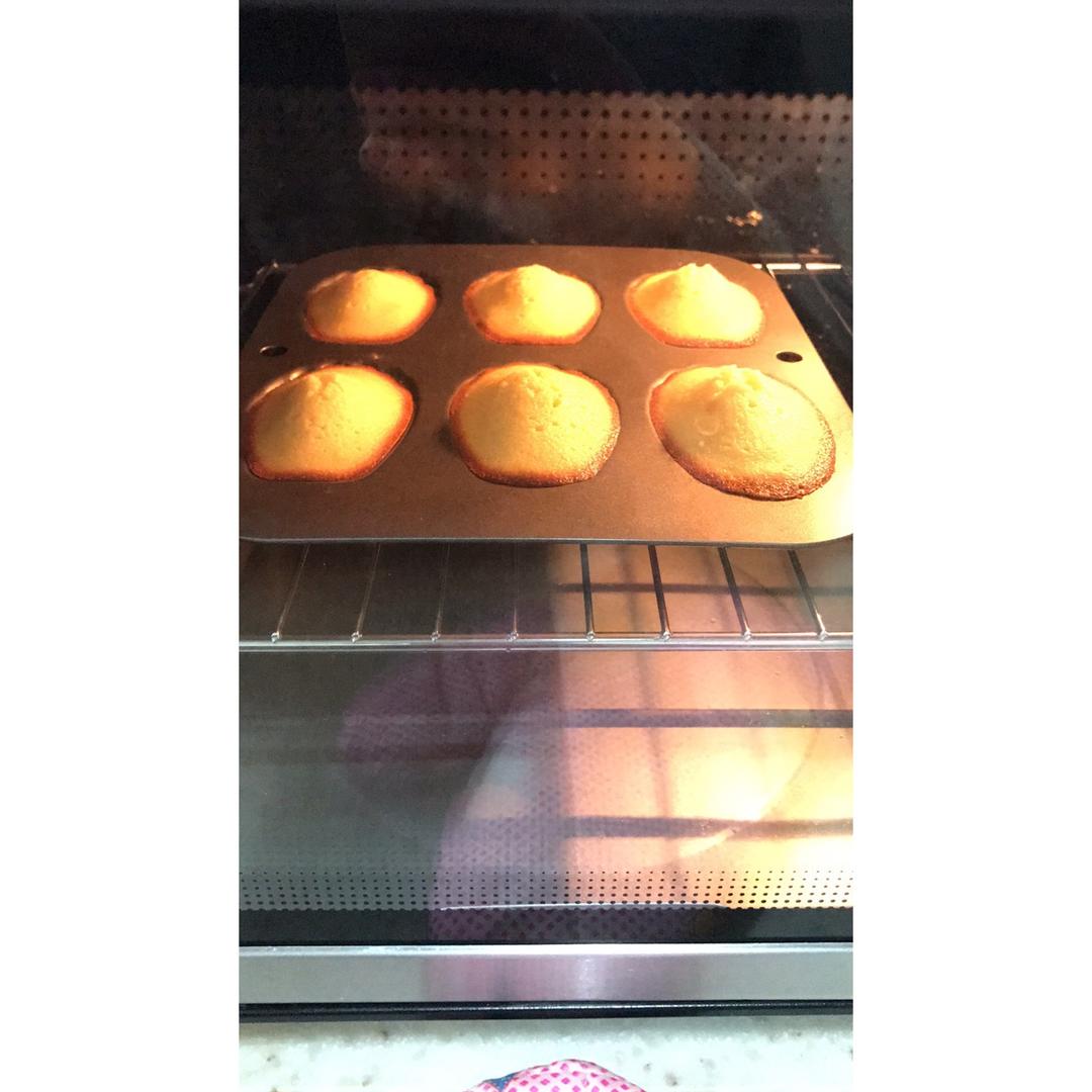 玛德琳（蓝带方）