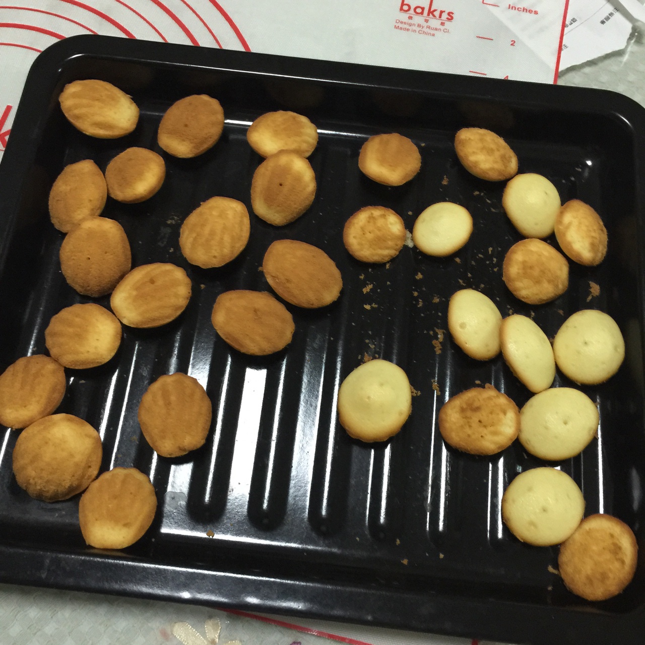 玛德琳（蓝带方）