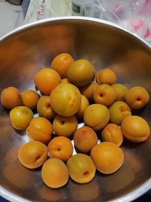 自制杏酱的做法 步骤1
