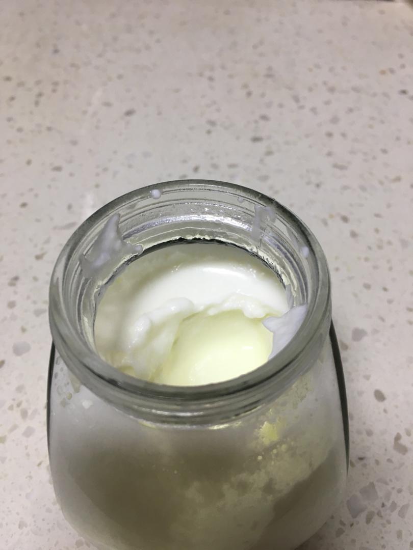 无需酸奶机的自制酸奶