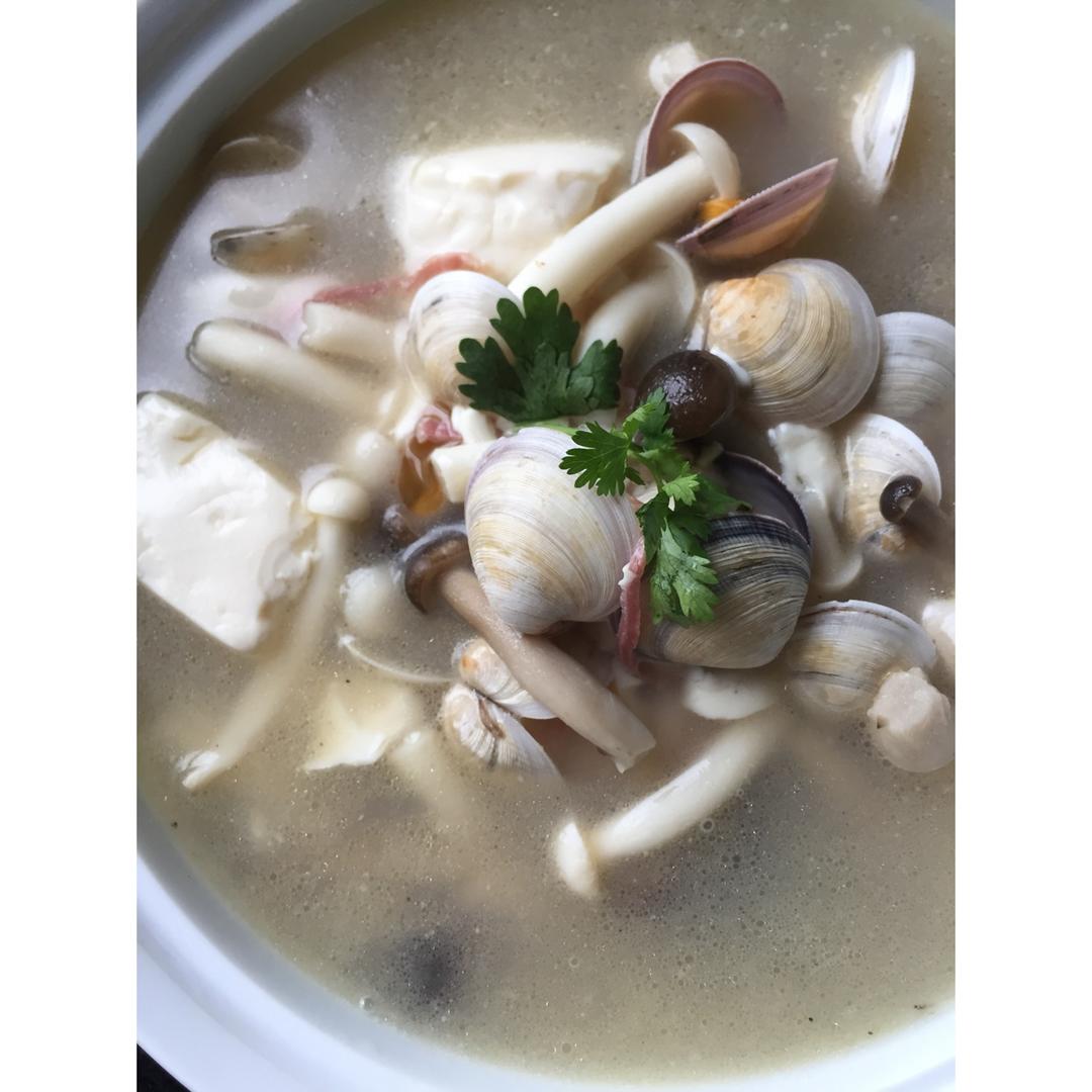 茶前做的蛤蜊菌菇汤