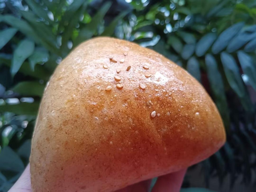 全麦芝士金枪鱼面包