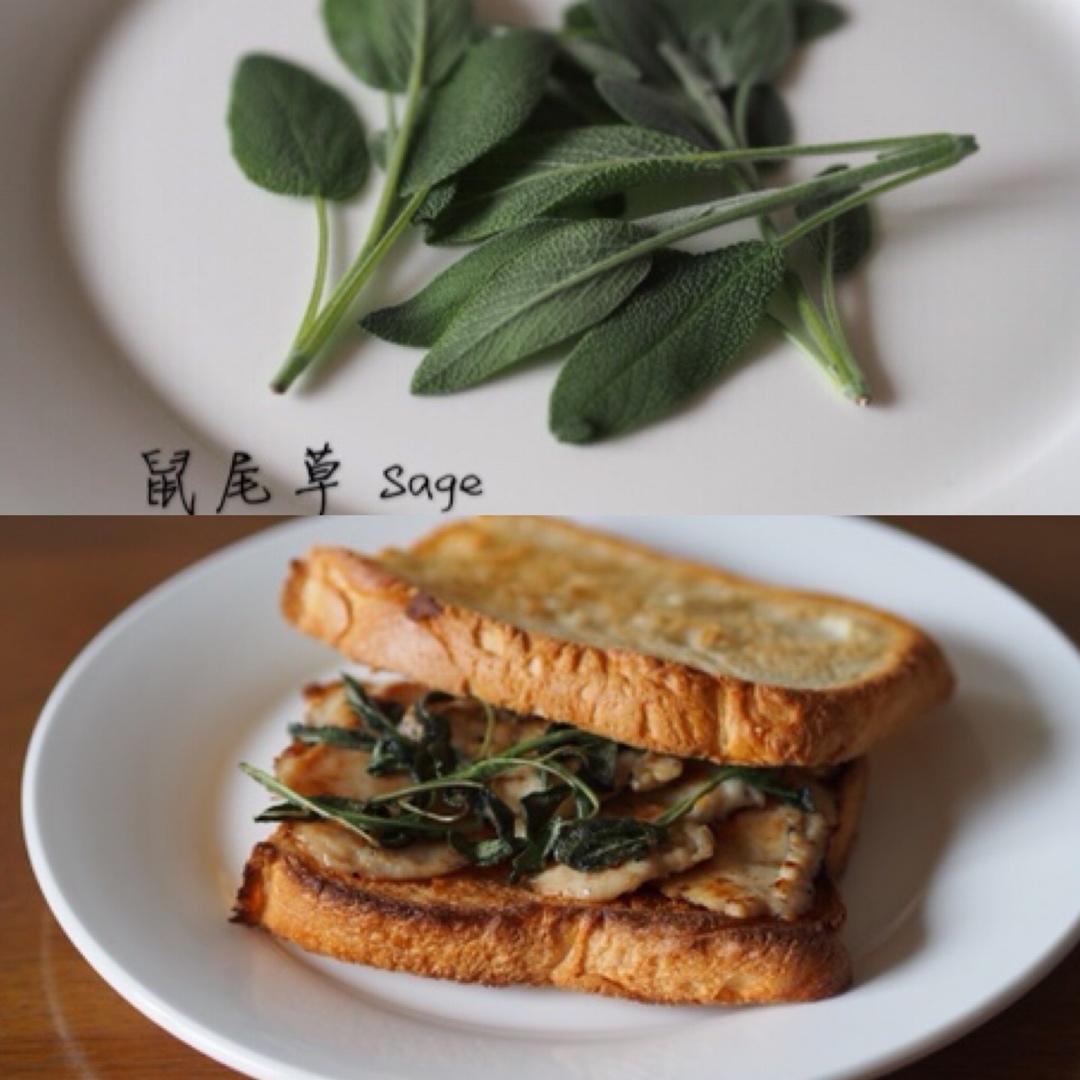 鼠尾草猪肉三明治