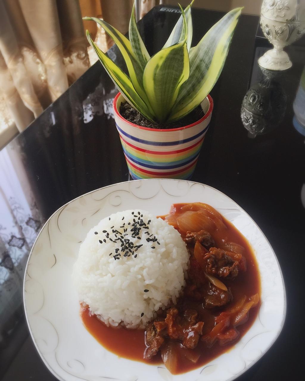 番茄牛腩盖浇饭