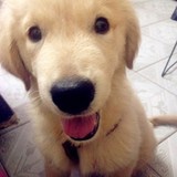 Funny__crazy