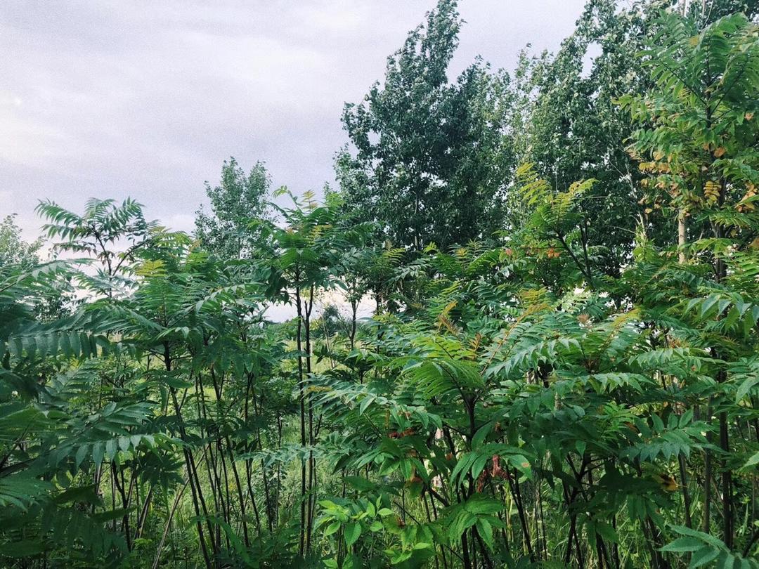 一家四口一日三餐❤️