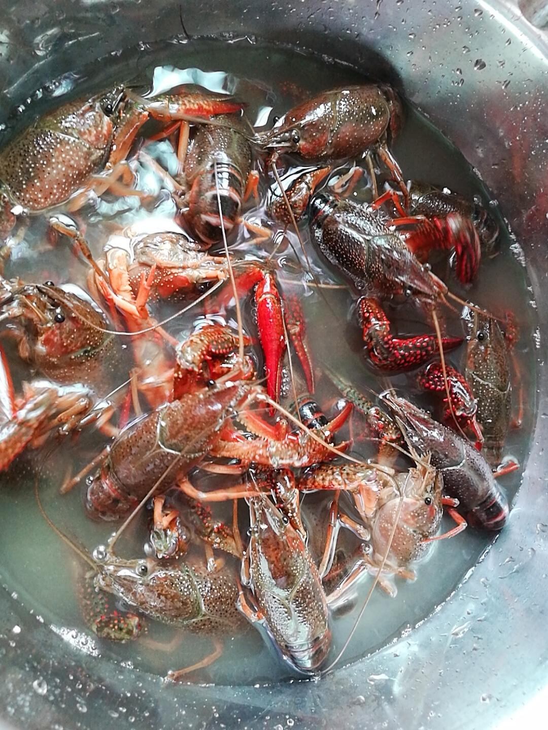 啤酒黄瓜小龙虾的做法 步骤1