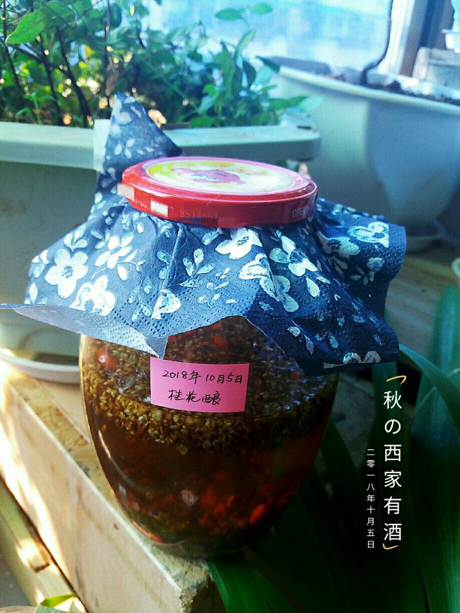 桂花酒独家秘方