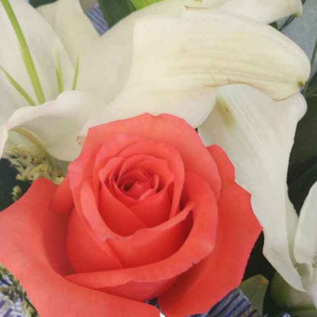 cannie123