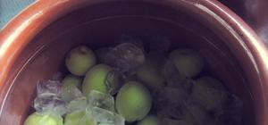 陈酿素酿的封面