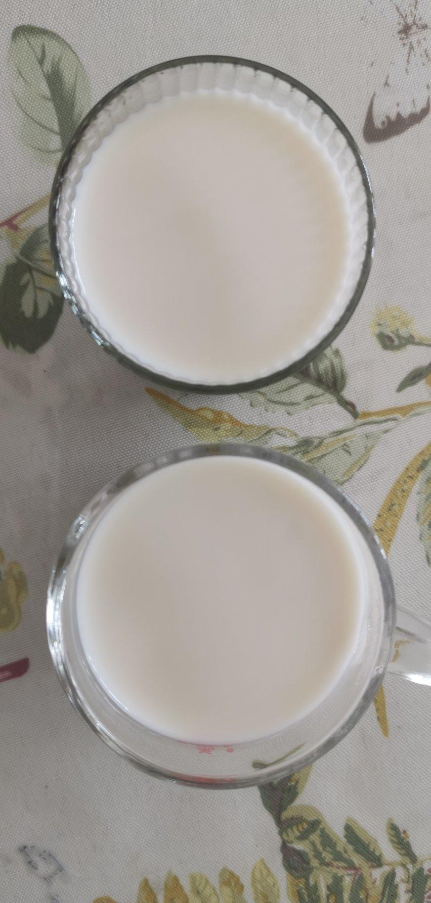 杏仁豆腐