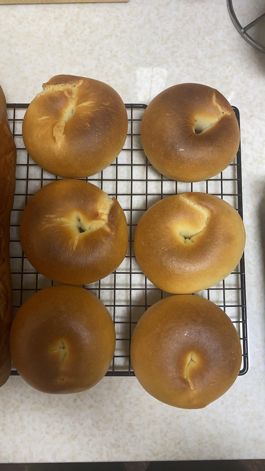 免揉贝果配方❗️不会做贝果一定要试试这个🔥一次成功