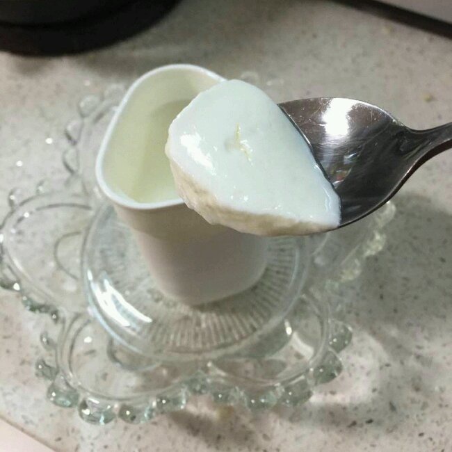 自制酸奶