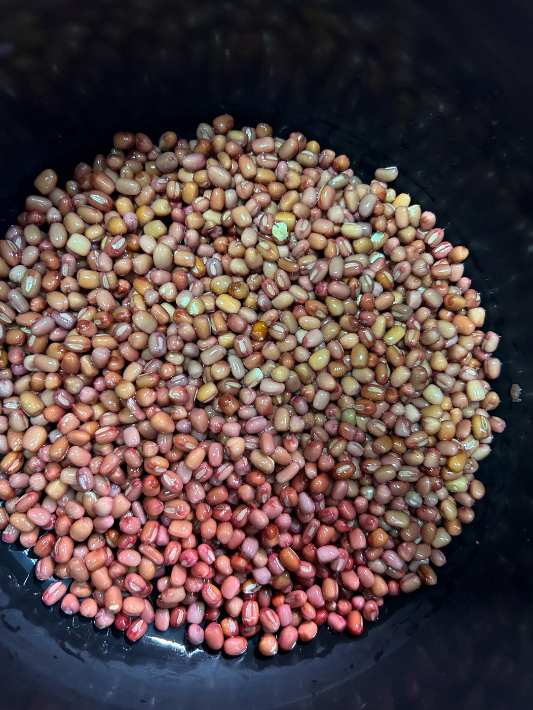 电饭煲煮红豆馅（蜜红豆、豆沙馅）