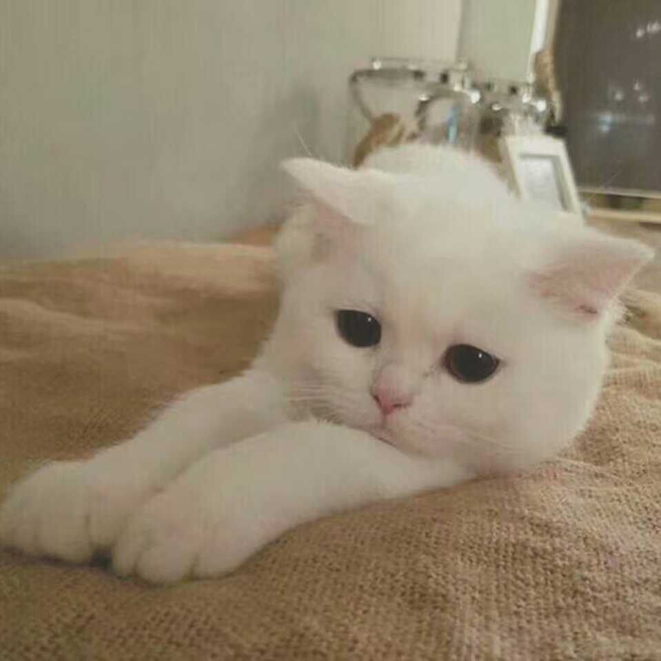helloheiyao