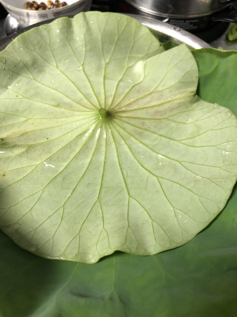 slowlyplay做的新鲜荷叶保存法