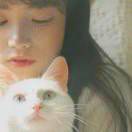 要做好吃的小仙履