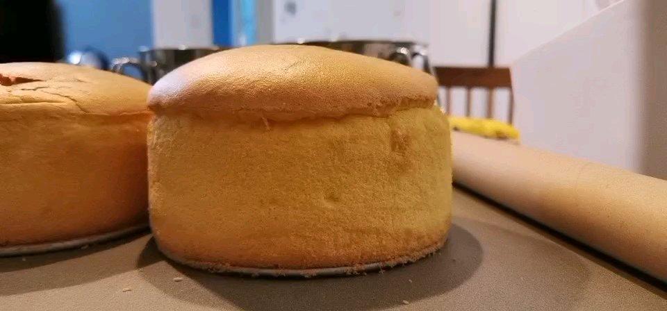 没天分的饲养员