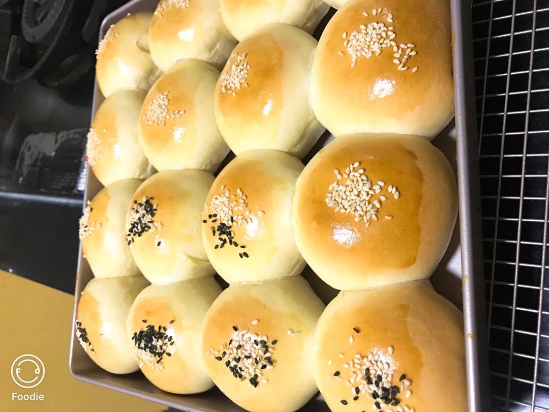 鲜奶油小餐包（一次发酵）