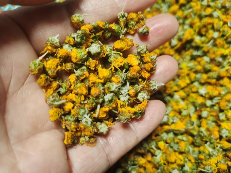 自制岩香菊茶（野菊花）