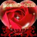 手机用户2886_gp6f