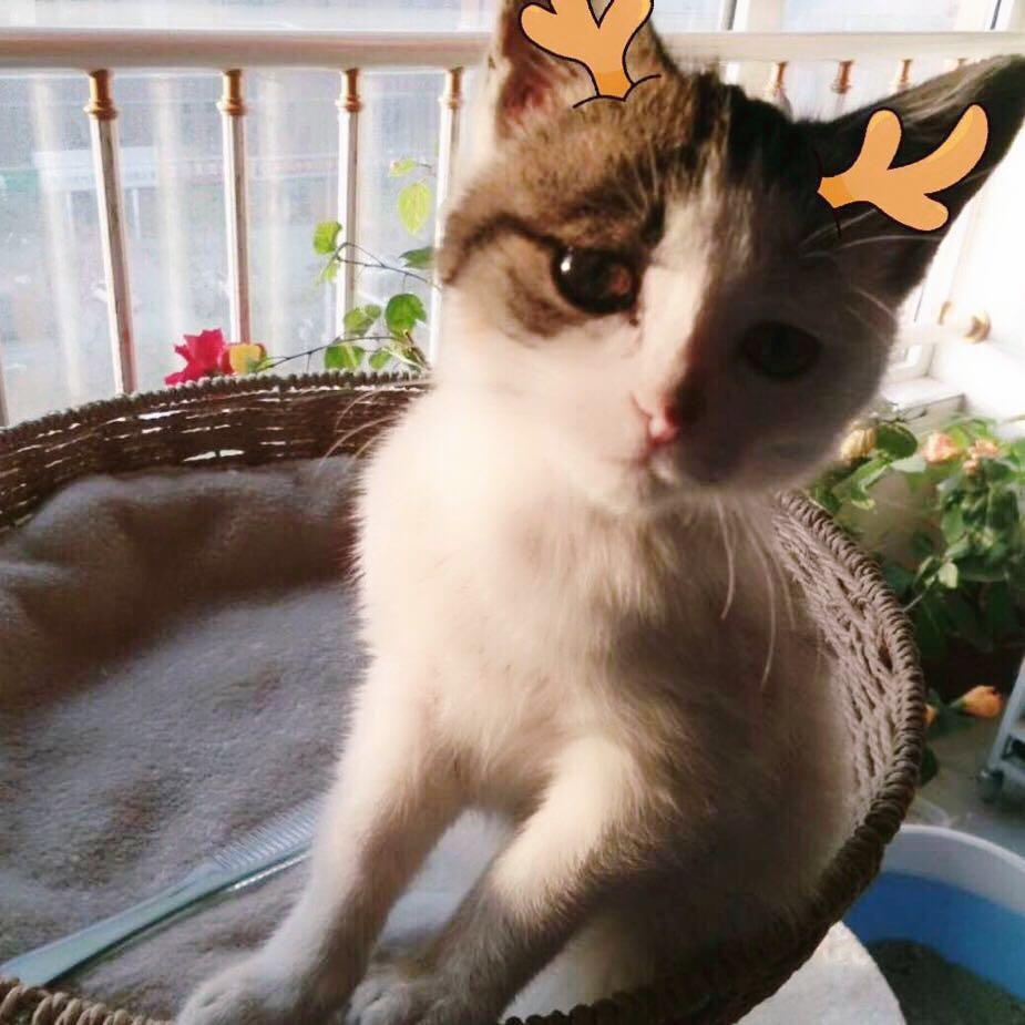 手机用户3506_mjpd