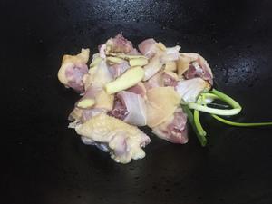 虎掌菌海底椰炖鸡汤的做法 步骤8