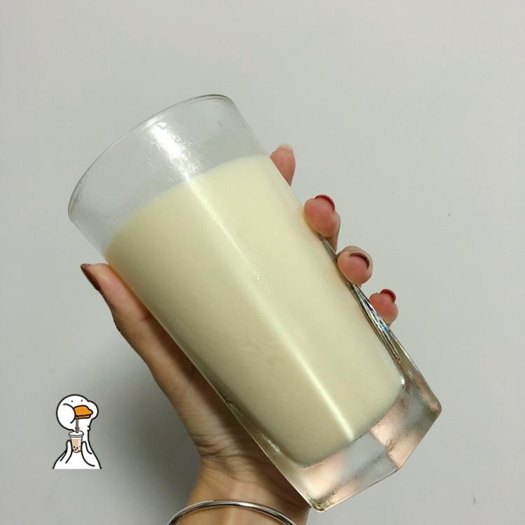 牛奶布丁（吉利丁版本）