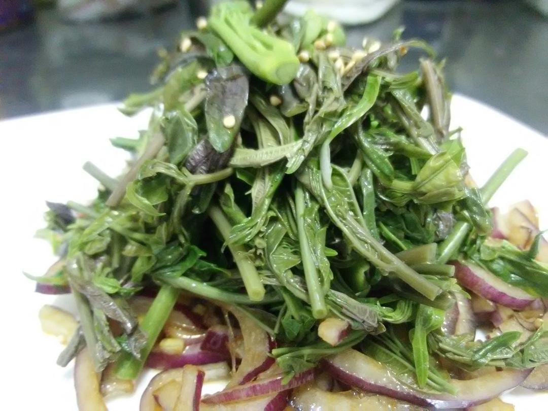 独特凉拌香椿嫩芽的做法