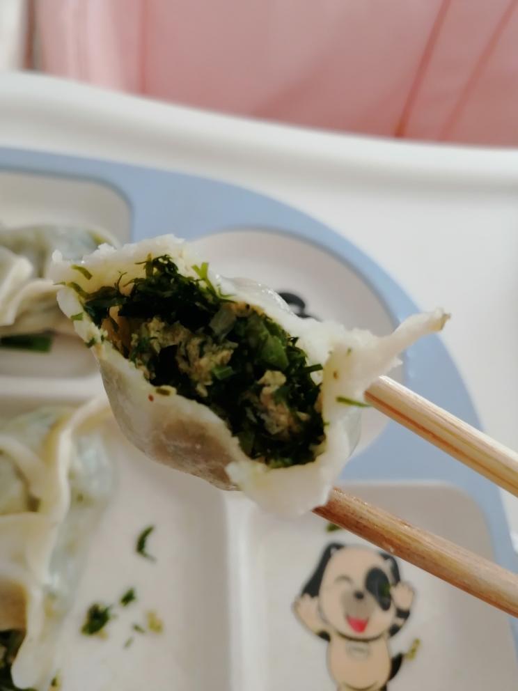 茴香馅饺子素的做法