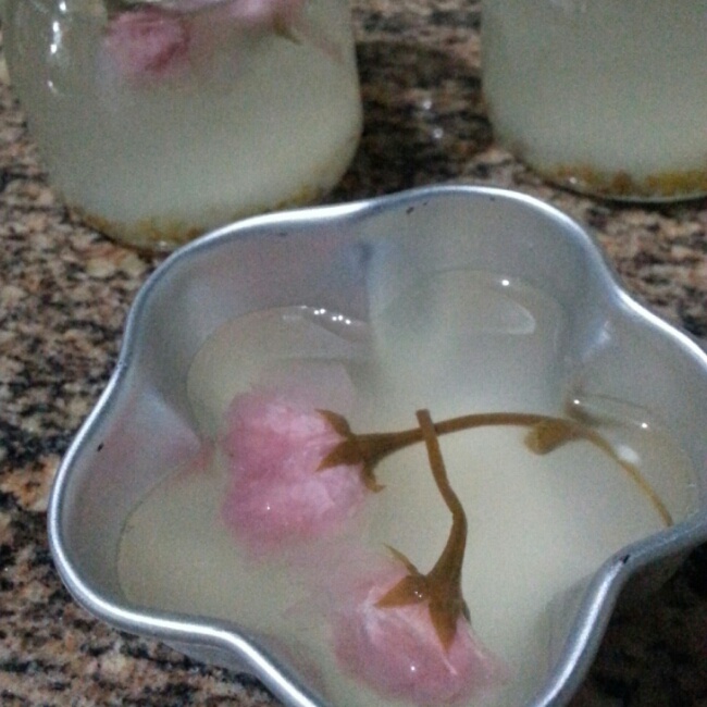 樱花果冻