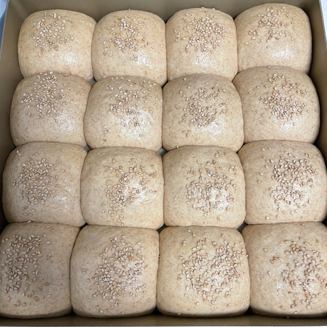 波兰种全麦面包🍞