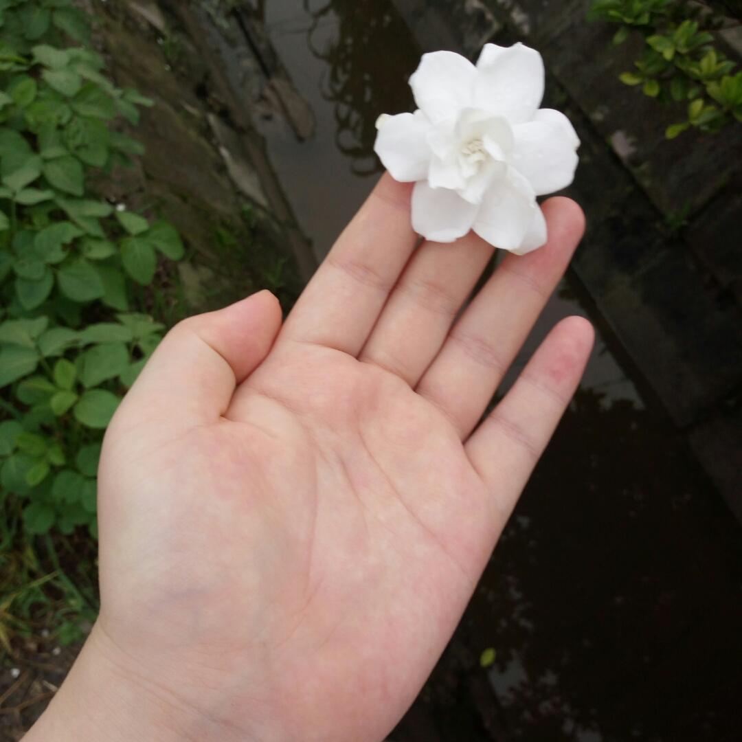 新手宝妈吃货倩