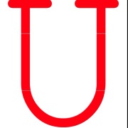 瑞丽2000